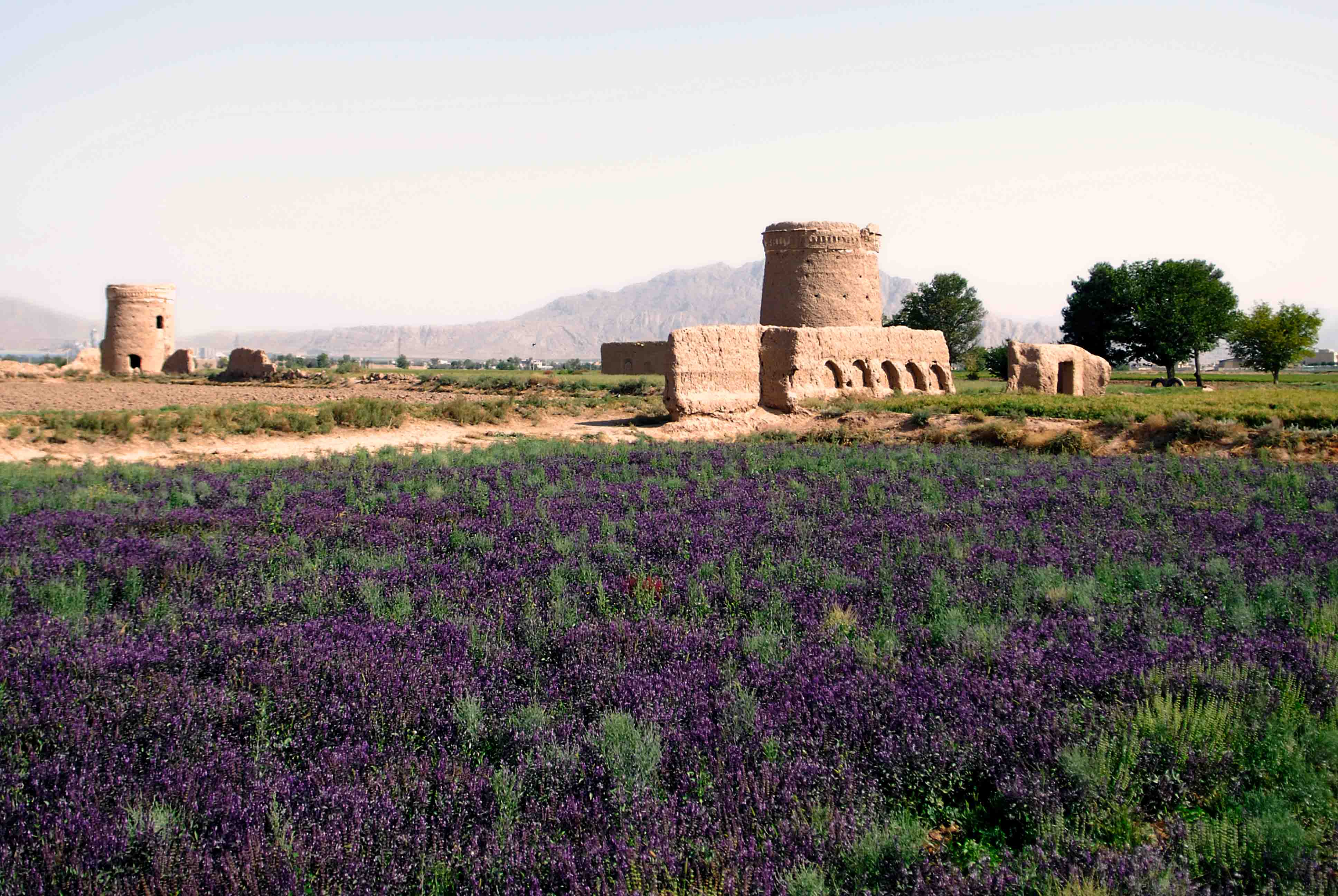 Pigeon towers of the Isfahan province