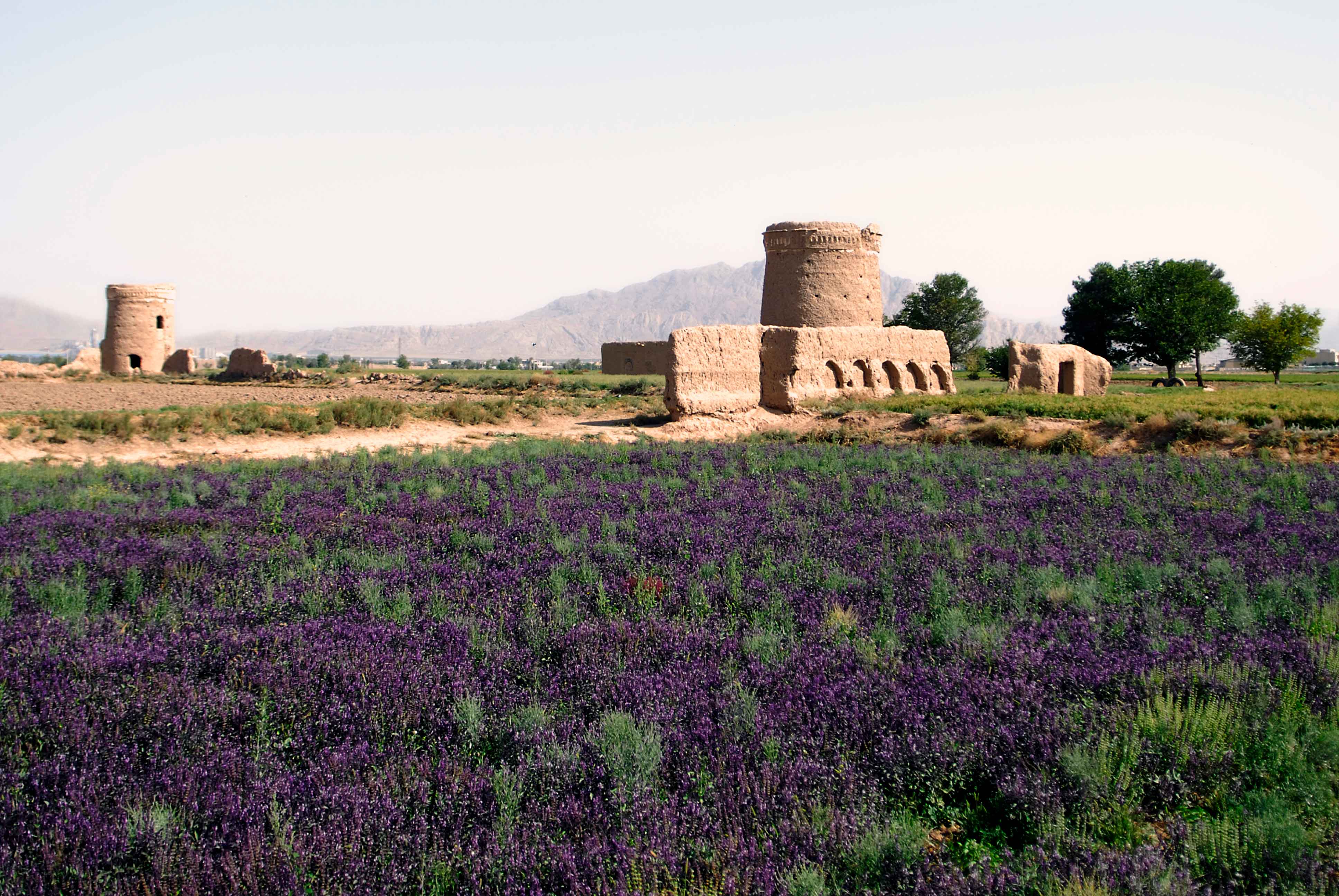 Survey of the pigeons towers in the Isfahan province
